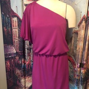 White House  Black Market  PINK dress
